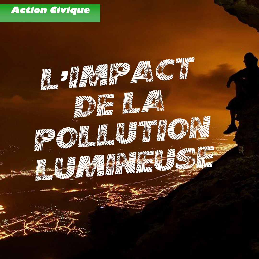 L’impact écologique de la pollution lumineuse